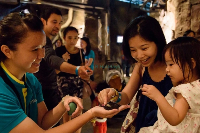 Entopia by Penang Butterfly Farm - Explore Nature's Wonders - JTR Holidays - Image 10 of 10