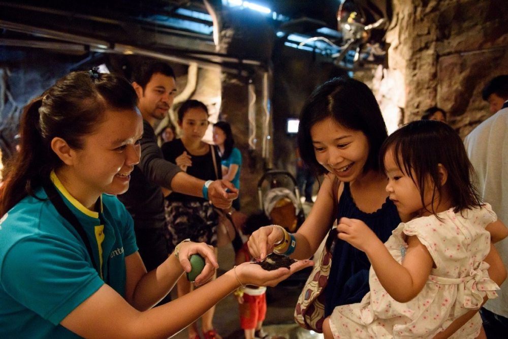 Энтопия на ферме бабочек Пенанга - Image 10 of 10