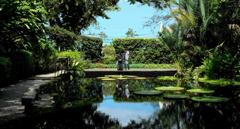 Tropical Spice Garden - Explore Penang's Spice Heritage - JTR Holidays