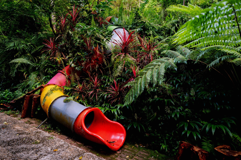 Тропический Пряный Сад - Изображение 3 из 5