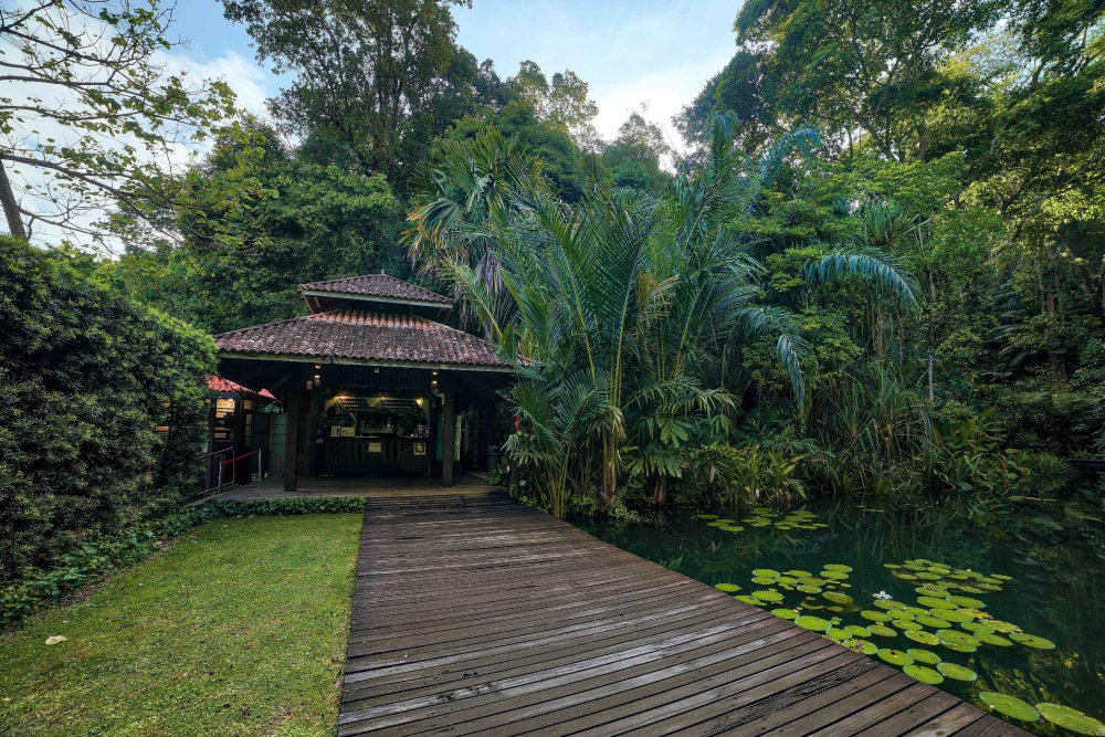 Тропический Пряный Сад - Image 2 of 9