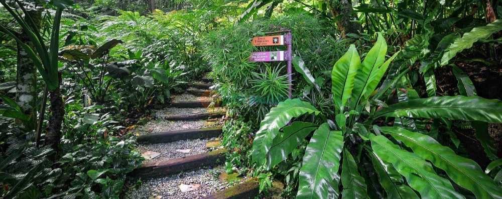 Tropical Spice Garden - Explore Penang's Spice Heritage - JTR Holidays - Image 4 of 5