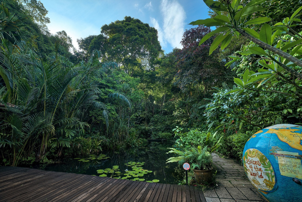 Тропический Пряный Сад - Изображение 5 из 5