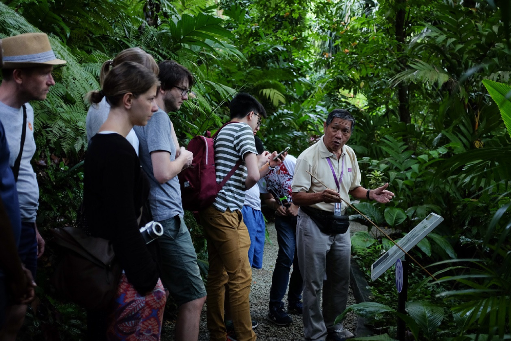 Тропический Пряный Сад - Image 6 of 9