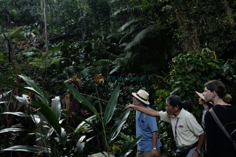 Tropical Spice Garden - Explore Penang's Spice Heritage - JTR Holidays - Image 7 of 9