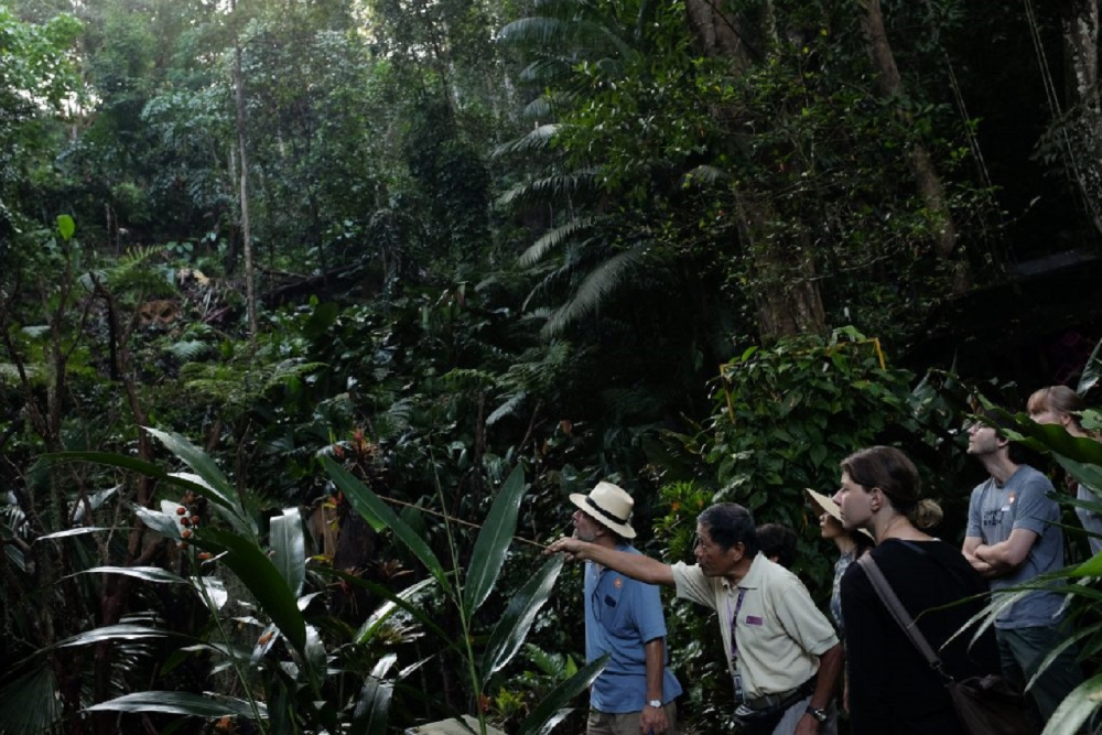 Тропический Пряный Сад - Image 7 of 9