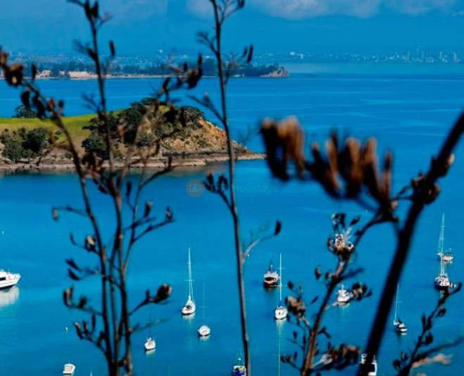 Auckland Harbour Dinner Cruise - Scenic Evening Experience - JTR Holidays - Image 5 of 5