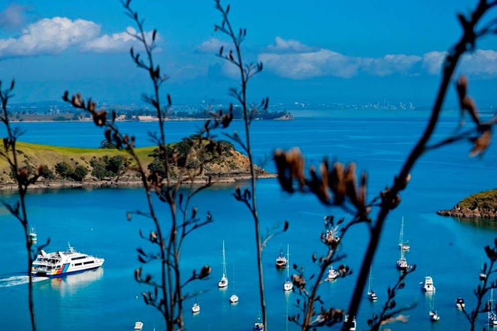 Auckland Harbour Dinner Cruise - Image 5 of 5
