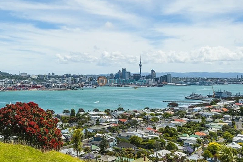 Auckland Harbour Dinner Cruise - Scenic Evening Experience - JTR Holidays - Image 6 of 7