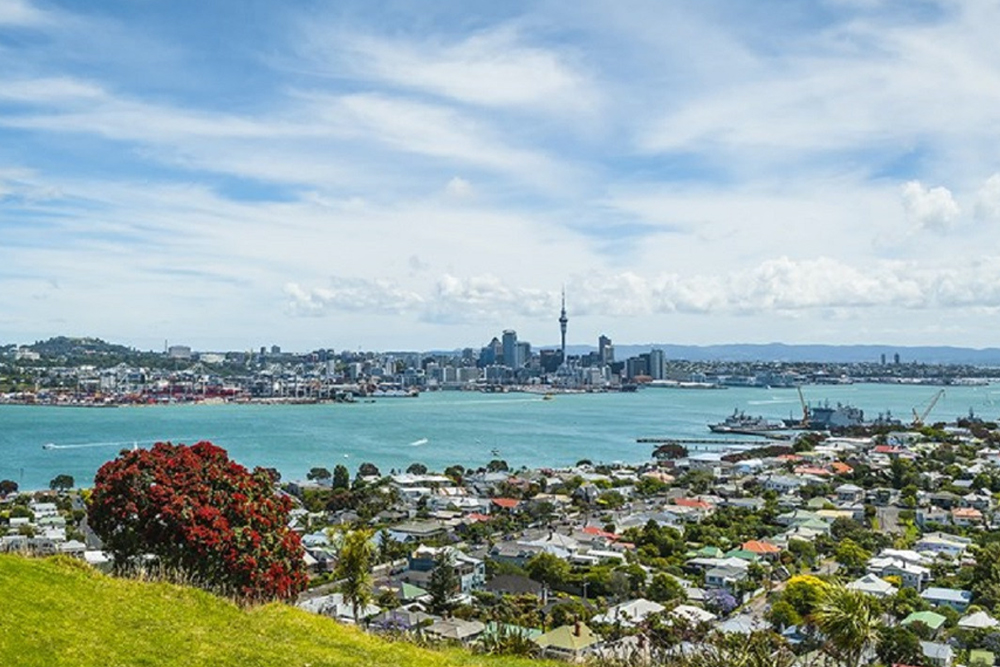 Auckland Harbour Dinner Cruise - Image 6 of 7