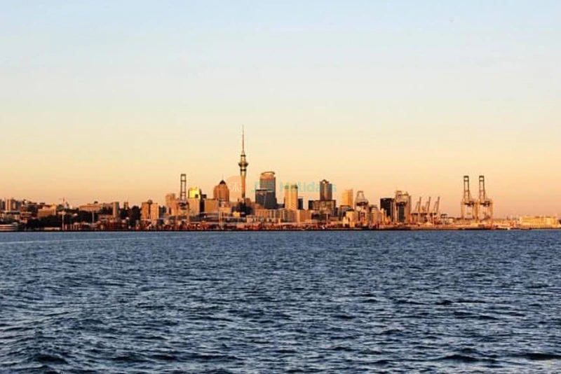 Auckland Harbour Dinner Cruise - Scenic Evening Experience - JTR Holidays - Image 7 of 7