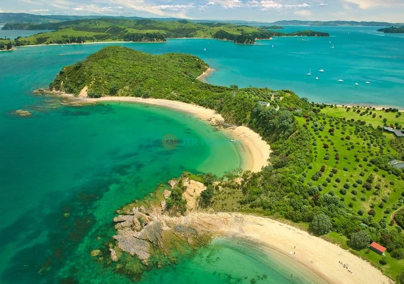Gita di un giorno a Rotoroa Island da Auckland
