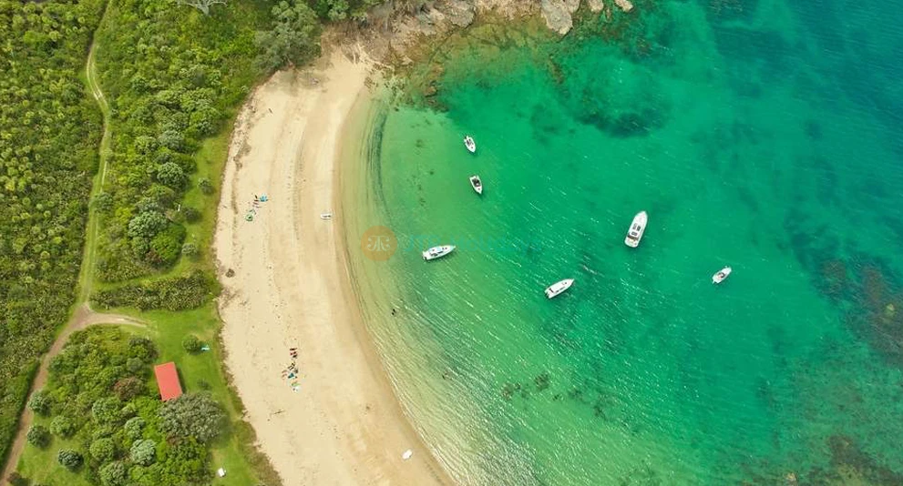 Rotoroa Island Day Trip - Auckland | Scenic Cruise, Wildlife & Nature - JTR Holidays - Image 1 of 5