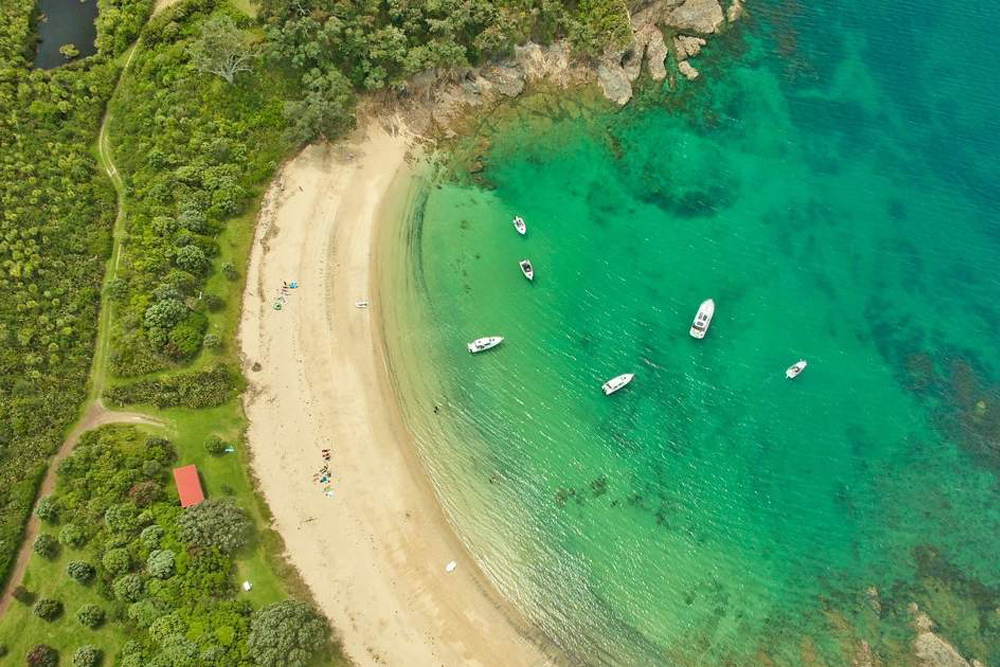 Rotoroa Island Day Trip from Auckland - Image 1 of 6