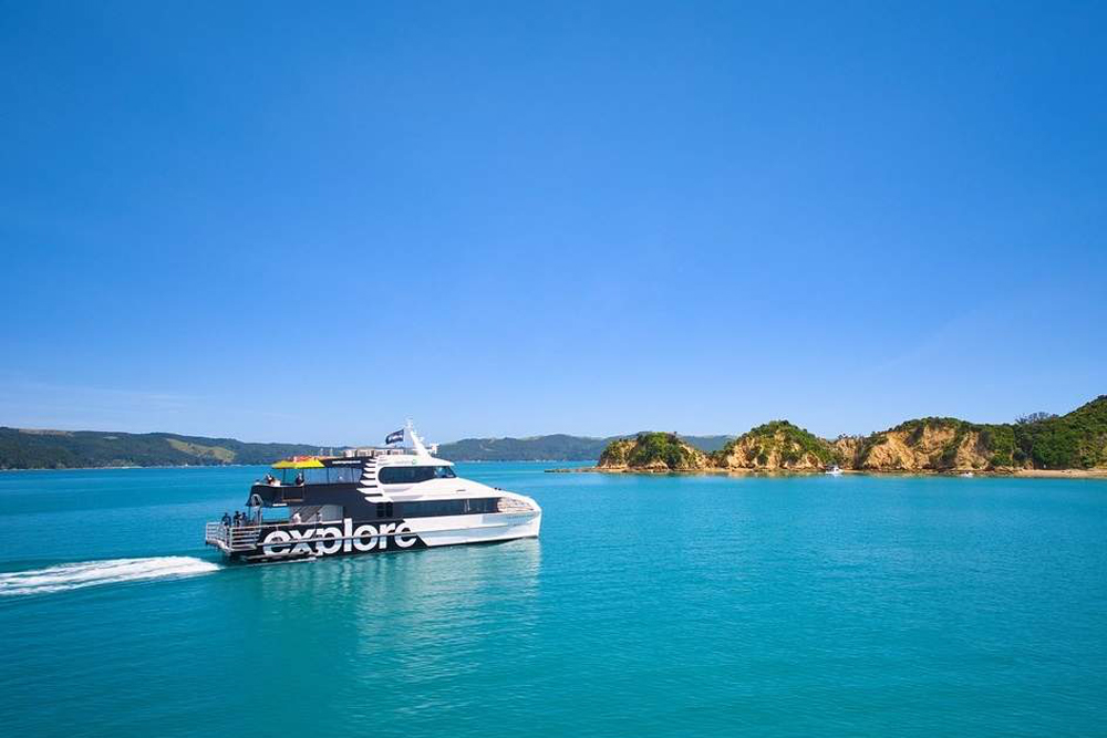 Rotoroa Island Day Trip from Auckland - Image 4 of 6