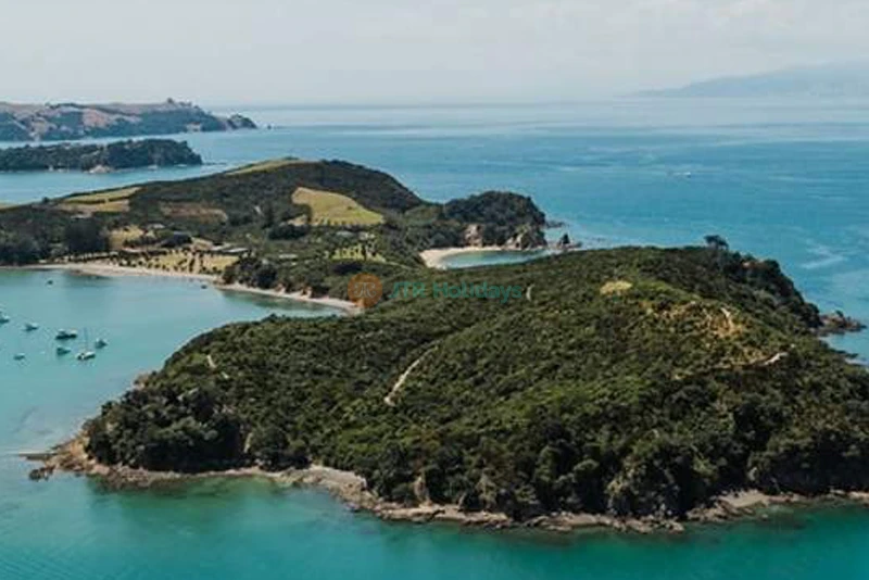 Rotoroa Island Day Trip - Auckland | Scenic Cruise, Wildlife & Nature - JTR Holidays - Image 6 of 6