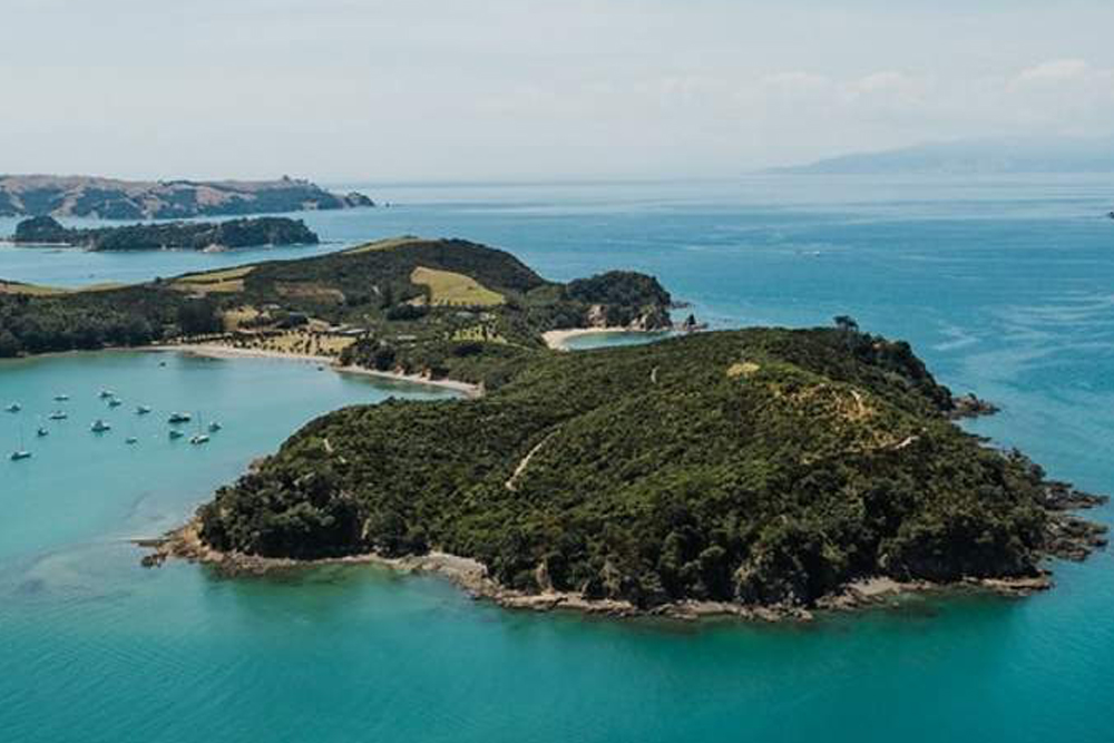 Rotoroa Island Day Trip from Auckland - Image 6 of 6
