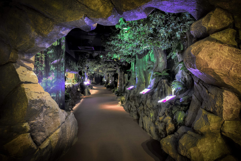 The Top Boutique Aquarium - Image 1 of 5