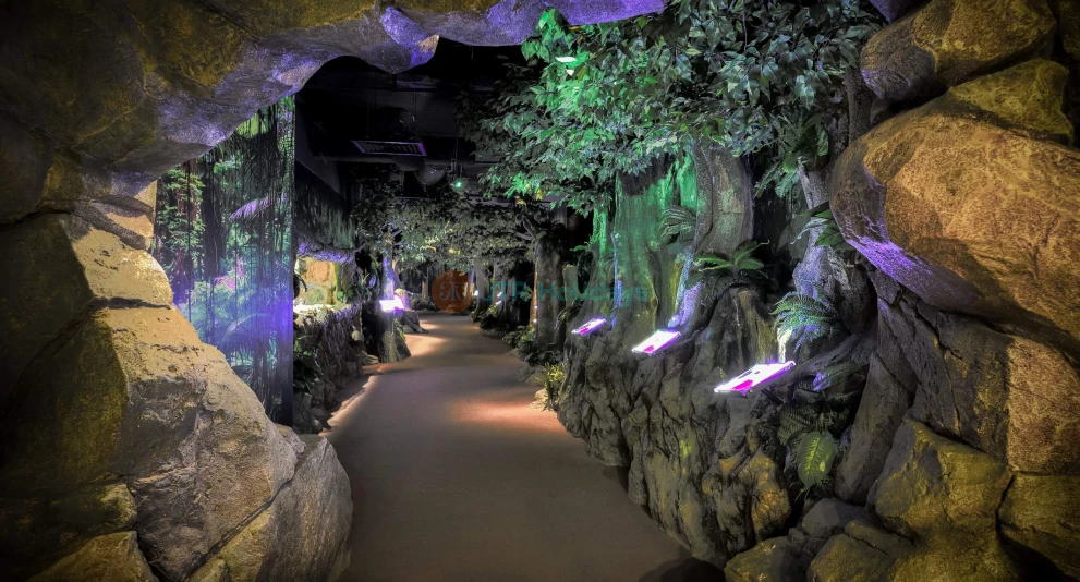 The Top Boutique Aquarium - Image 1 of 5