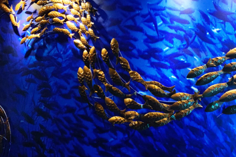最高のブティック水族館 - ペナンで海が好きなあらゆる世代にとって必見の観光スポット、The Top Boutique Aquariumを訪れてみてください。色とりどりの海洋生物やカラフルなサンゴ礁、魅力的な海の生き物にあふれた水中世界に飛び込みましょう。The Top Boutique Aquariumは、家族や友人にぴったりの、ワクワクして学びのある体験を提供します。海洋保護について学び、水中の不思議な生物たちを間近で観察してください。なぜThe Top Boutique Aquariumがペナンで思い出に残るお出かけ先のひとつとされているのか、その理由をぜひ発見してみてください! 最高のブティック水族館 - 画像 2 の 5