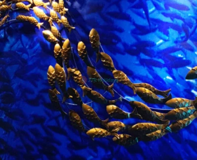 The Top 精品水族馆 - 图片 2 的 5
