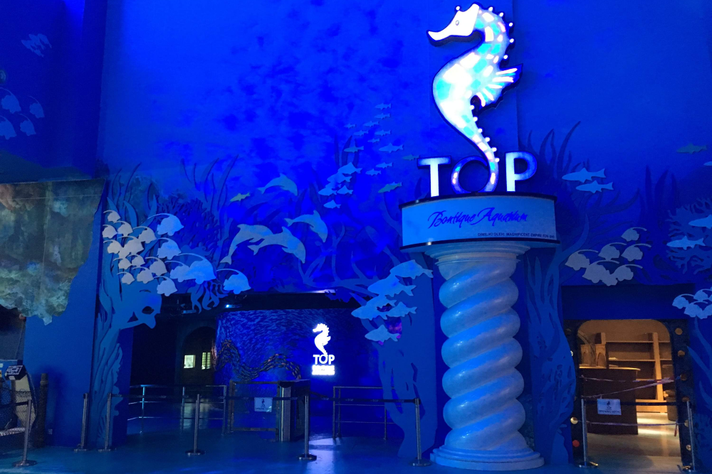 The Top Boutique Aquarium - Image 4 of 5