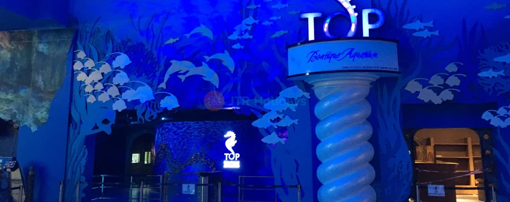 The Top Boutique Aquarium - Image 4 of 5