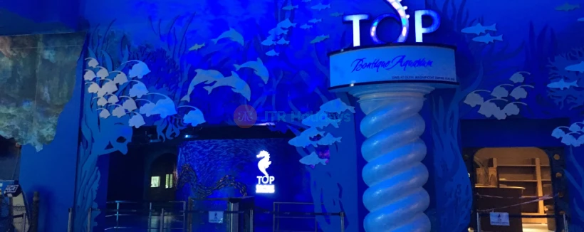 The Top 精品水族馆 - 图片 4 的 5