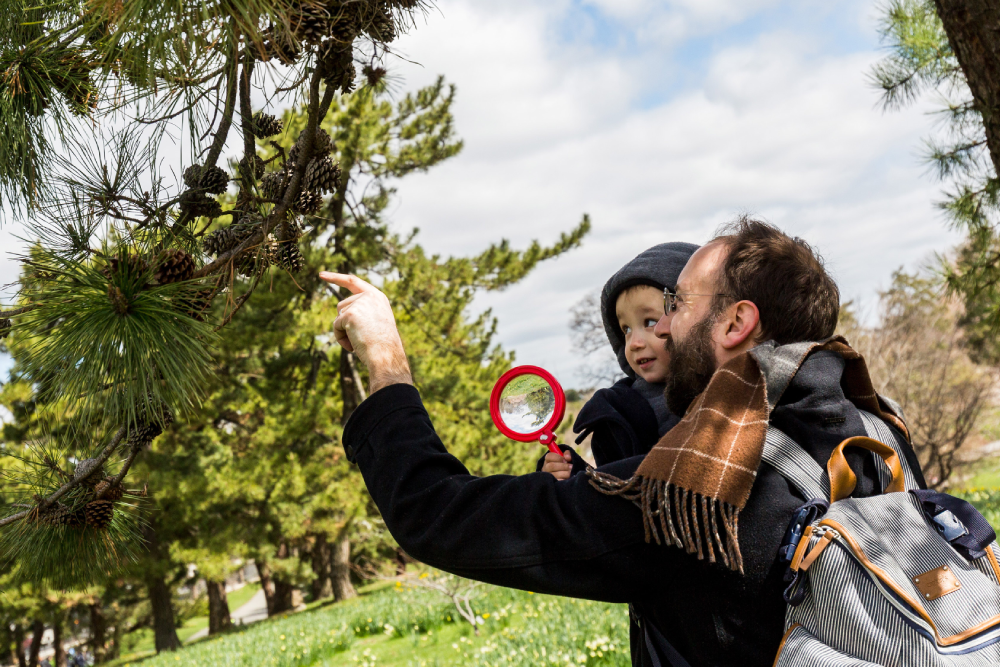 New York Botanical Garden - Image 3 of 5