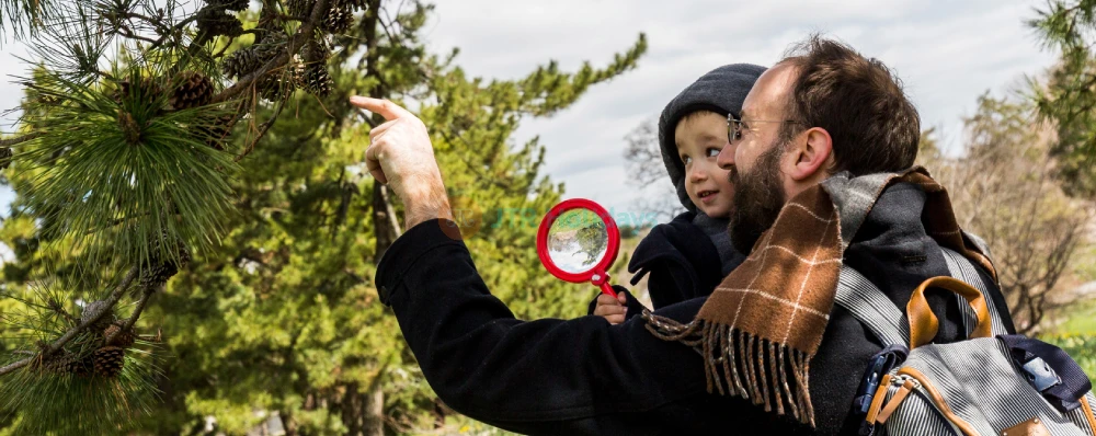 Jardín Botánico de Nueva York - Imagen 3 de 5