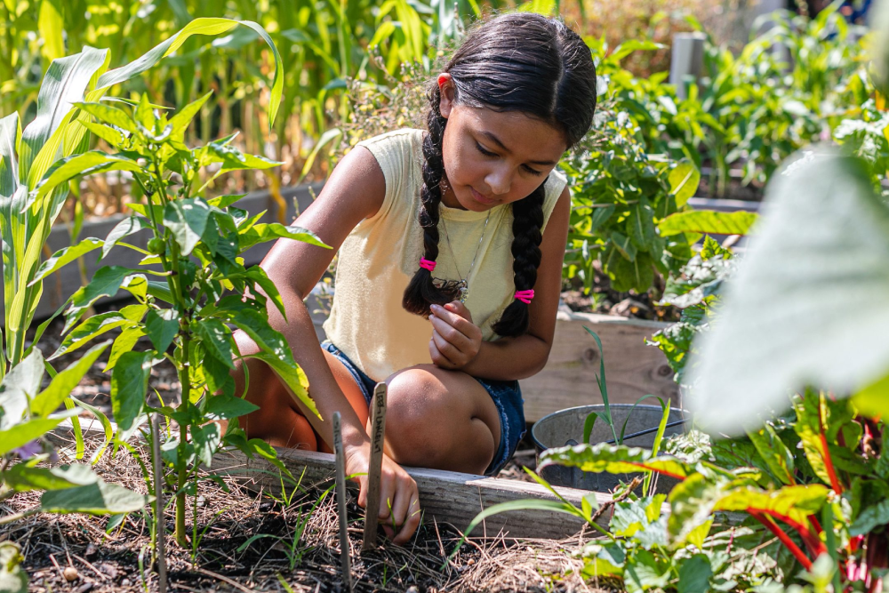 New York Botanical Garden - Image 4 of 5
