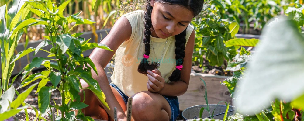 Jardín Botánico de Nueva York - Image 4 of 5