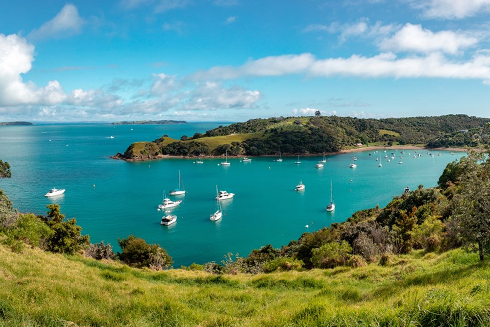 Billet de ferry d'Auckland à l'île de Waiheke - Profitez d'un trajet en catamaran de luxe de 40 minutes d'Auckland à l'île de Waiheke, offrant des vues imprenables sur le golfe de Hauraki. Commencez votre parcours depuis le centre-ville d'Auckland et découvrez les vignobles réputés de Waiheke, sa gastronomie délicieuse et ses sentiers de randonnée panoramiques. Détendez-vous sur des plages de sable blanc immaculé ou explorez la beauté naturelle de l'île à votre rythme. Parfait pour des excursions d'une journée ou des séjours plus longs, ce trajet en ferry est la porte d'entrée idéale vers l'île de Waiheke. Billet de ferry d'Auckland à l'île de Waiheke - Image 1 sur 5