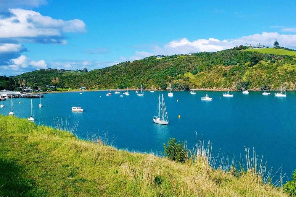 Fährticket von Auckland zur Waiheke-Insel - Genießen Sie eine 40-minütige Luxus-Katamaranfahrt von Auckland zur Waiheke-Insel mit atemberaubenden Ausblicken auf den Hauraki-Golf. Starten Sie Ihre Reise von der Innenstadt Aucklands und entdecken Sie Waihekes renommierte Weinberge, leckeres Essen und malerische Wanderwege. Entspannen Sie an makellosen weißen Sandstränden oder erkunden Sie die natürliche Schönheit der Insel in Ihrem eigenen Tempo. Perfekt für Tagesausflüge oder längere Aufenthalte, ist diese Fährfahrt das ultimative Tor zur Waiheke-Insel. Fährticket von Auckland zur Waiheke-Insel - Bild 3 von 5