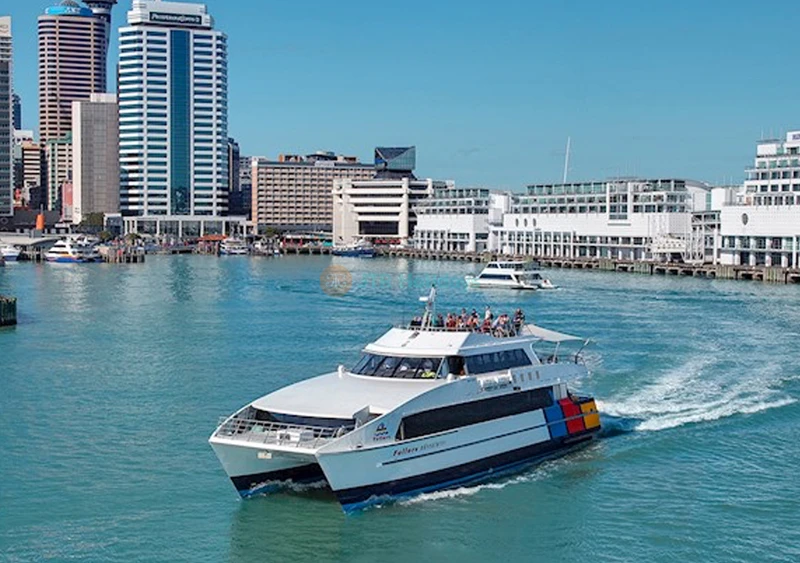 Biglietti Traghetto per l'Isola di Tiritiri Matangi da Auckland