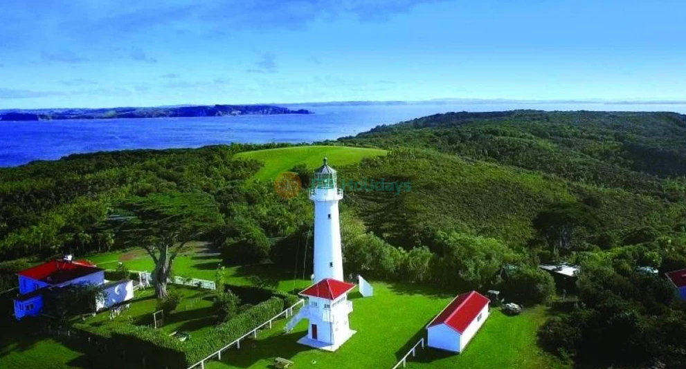 Tiritiri Matangi Island Ferry Tickets - Auckland Wildlife Escape - JTR Holidays - Image 1 of 5