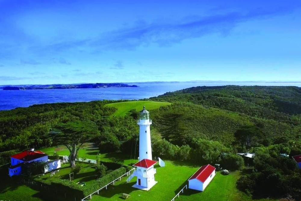 Tiritiri Matangi Island Ferry Tickets from Auckland - Image 1 of 5