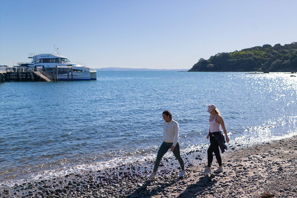 Tiritiri Matangi Island Ferry Tickets from Auckland - Image 3 of 5