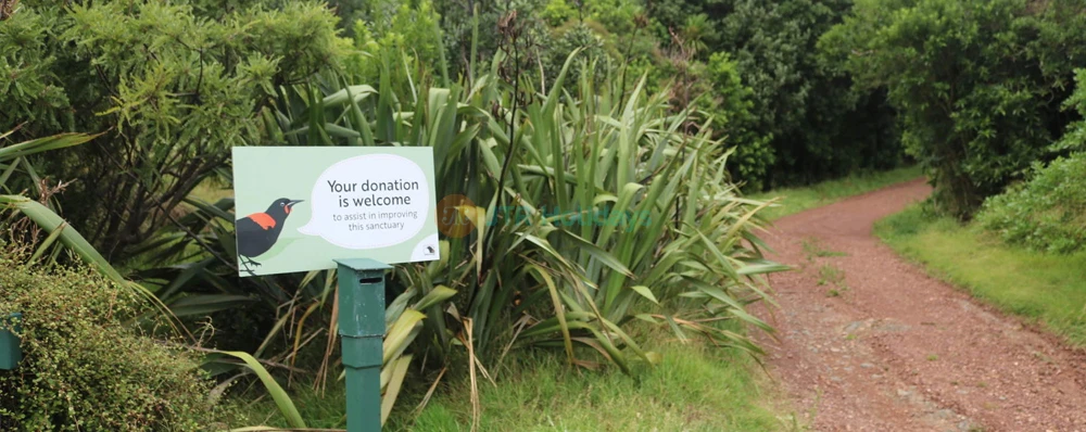 Tiritiri Matangi Island Ferry Tickets - Auckland Wildlife Escape - JTR Holidays - Image 4 of 5