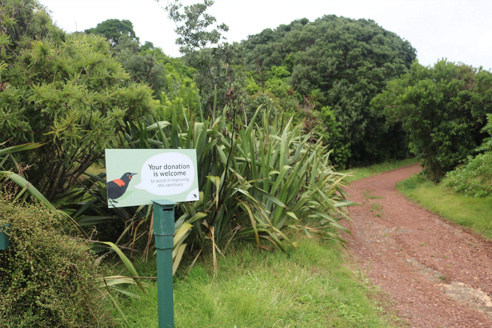 Tiritiri Matangi Island Ferry Tickets from Auckland - Image 4 of 5