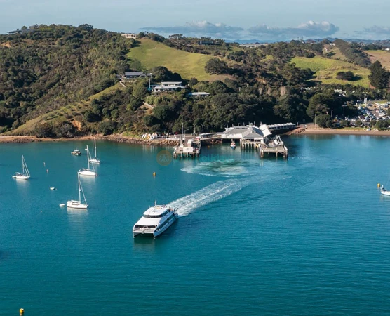 Rangitoto Island Ferry Tickets - Explore Auckland's Iconic Volcano ...