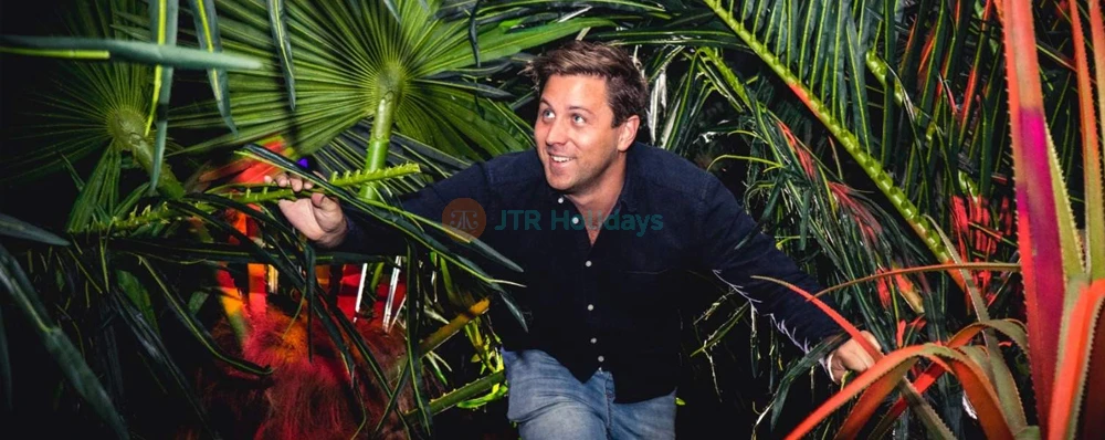 Laberinto Sensorial Odyssey Auckland - Imagen 3 de 5