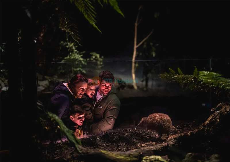 Kiwi Park Queenstown Admission