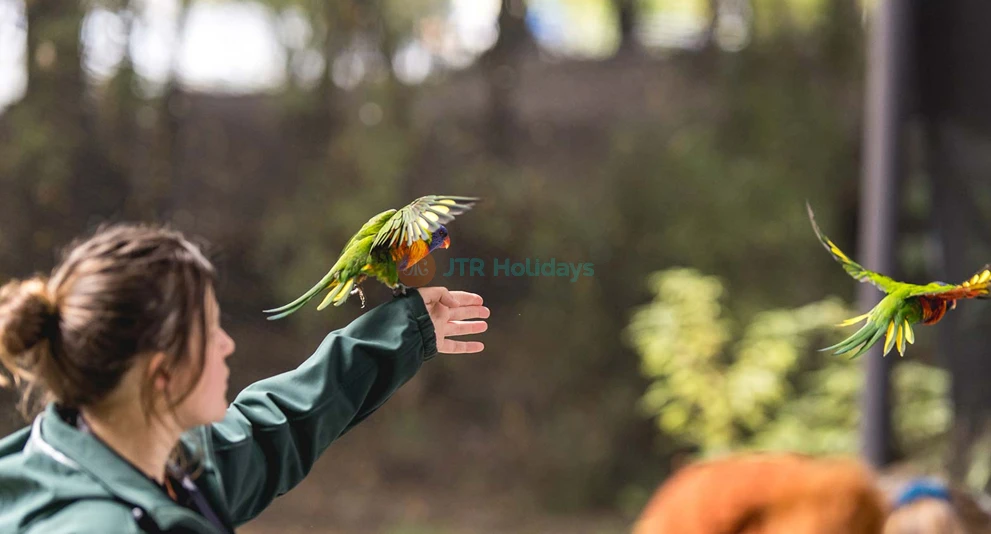 Admission au Parc Kiwi de Queenstown - Image 1 sur 5
