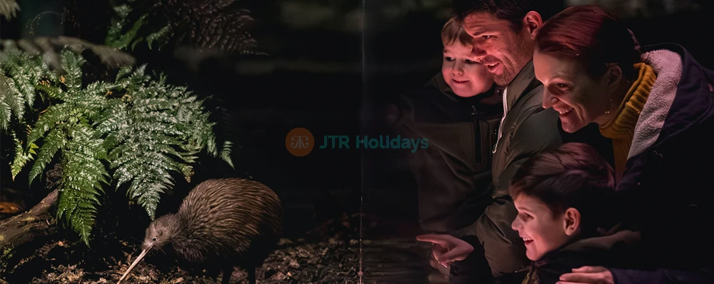 Kiwi Park Queenstown Admission - Discover Native Wildlife - JTR Holidays - Image 3 of 5