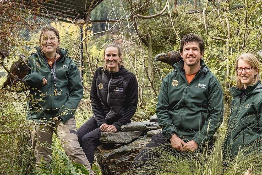 Kiwi Park Queenstown Admission - Discover the charm of Kiwi Park in Queenstown, a serene wildlife sanctuary dedicated to New Zealand's native species. Experience the thrill of observing iconic Kiwi birds in their natural habitat while learning about vital conservation efforts. Wander through lush greenery, encounter fascinating native wildlife, and deepen your appreciation for environmental preservation. Perfect for families and nature enthusiasts, Kiwi Park offers an unforgettable journey into the heart of New Zealand's biodiversity. Kiwi Park Queenstown Admission - Image 4 of 5