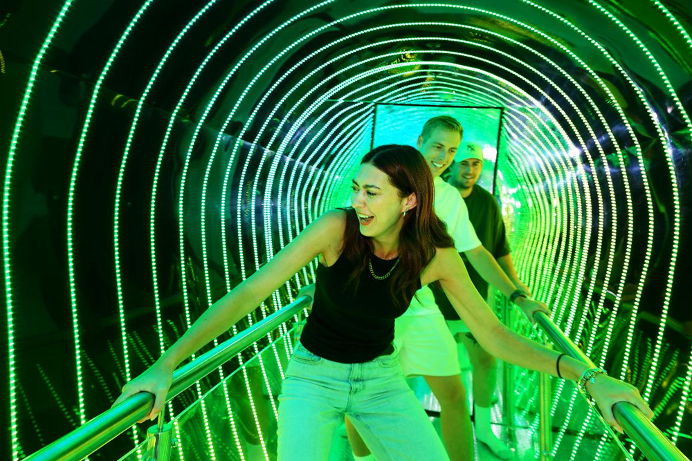 オデッセイ・センサリー・メイズ クイーンズタウン - 画像 4 の 5