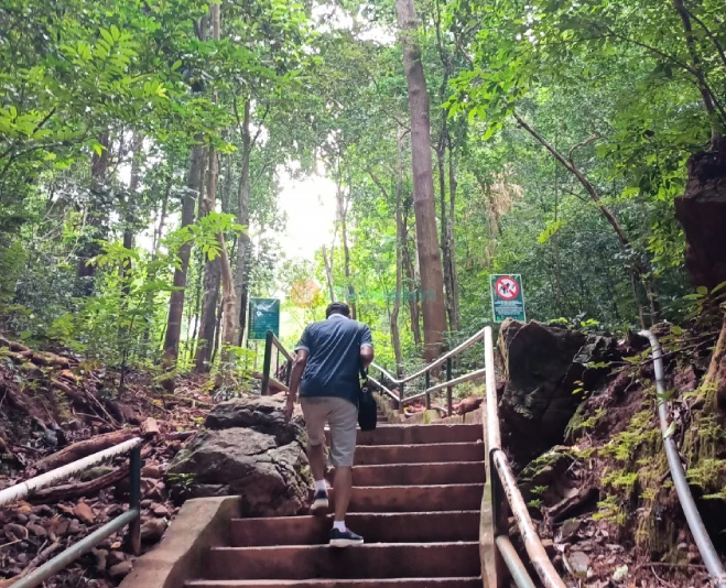 Langkawi Island Hopping Speedboat Tour | Family-Friendly & Private Charters - Image 5 of 5