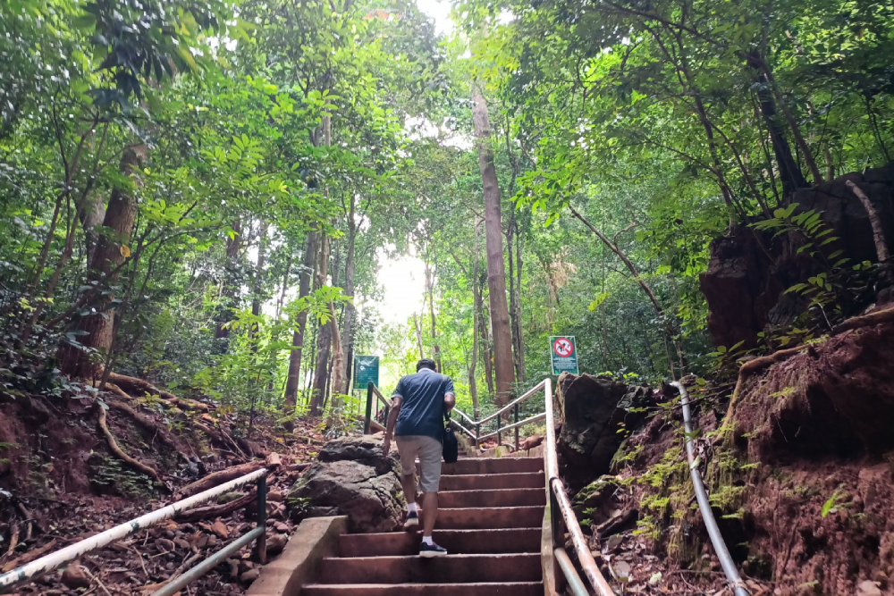 Langkawi Inselhüpfen Tour mit dem Schnellboot - Bild 5 von 5