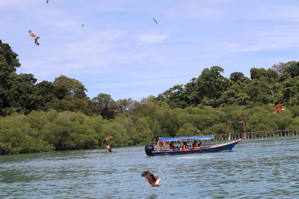 Langkawi Island Hopping Tour by Speedboat - Image 6 of 8
